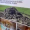 Turismo, al via a Olbia la Borsa Internazionale dei Siti del Patrimonio Unesco