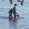 Poetto, l’estate delle polemiche: “Mai vista la spiaggia così”