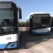 Cagliari, parte la circolare notturna del CTM: si viaggia gratis