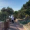 “Ville Jacques Couëlle” patrimonio del Comune di Arzachena: nasce il primo Museo della Costa Smeralda