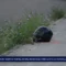 Nuoro, scontro mortale in viale Murichessa: perde la vita un motociclista di 24 anni