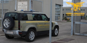 Corpo forestale