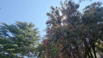 1 (28)