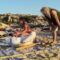 “Mare, respiro, orizzonti”: sulla spiaggia di Talmone lo Yoga si unisce ai suoni ancestrali