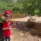 Oasi WWF di Monte Arcosu, un campo scuola con la Protezione Civile