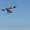 L’intelligenza artificiale entra nelle aziende agricole: in Sardegna il futuro è già iniziato