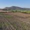 Irrigazione, sospiro di sollievo per le campagne del Nord Sardegna