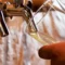 Sardegna, boom della birra artigianale: 45 birrifici attivi e 4 milioni di litri prodotti nell’Isola