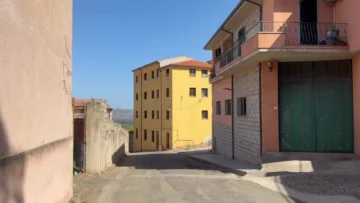 1 (81)