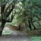 2026-08-21-foresta-burgos