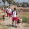Cani bagnini in prima linea nelle spiagge sarde: “Sicurezza e prevenzione in mare”