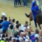 Al Palio di Siena trionfo con incidente per Tittia, il fantino di Nurri in ospedale dopo la caduta