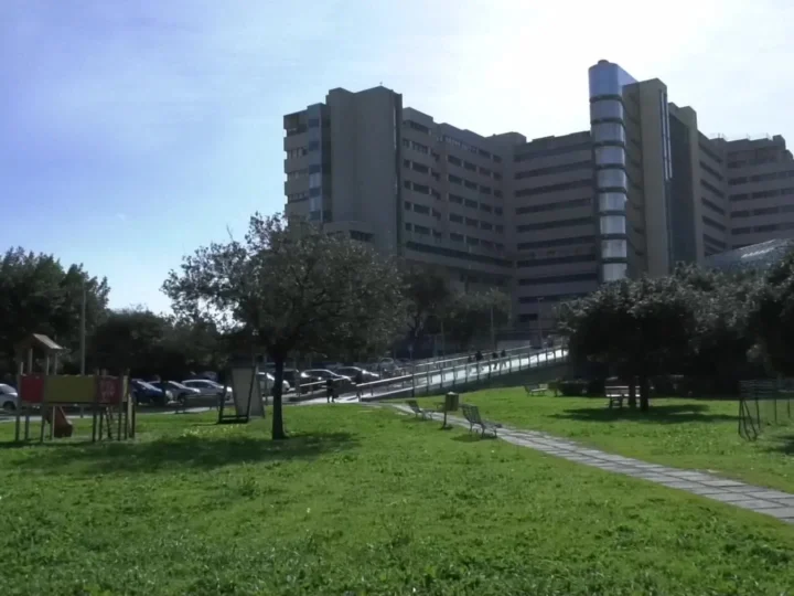 1 (4)