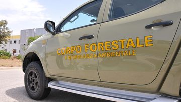 forestale1