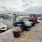Nasce a Golfo Aranci una scuola per diventare pescatori