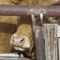 Dermatite bovina, Forza Italia chiede novità, Coldiretti e allevatori in pressing