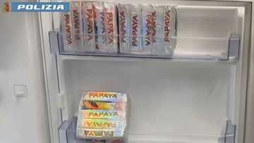 papaya3