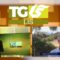 ROTOCALCO TG LIS DEL 26 SETTEMBRE 2026